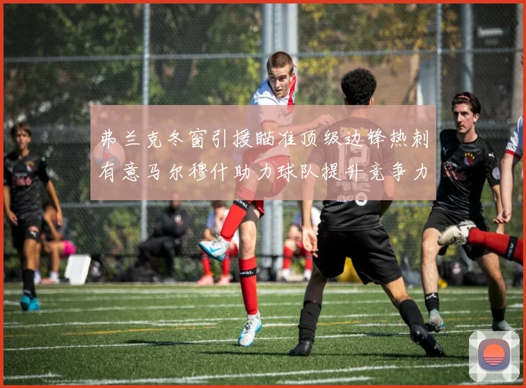 弗兰克冬窗引援瞄准顶级边锋热刺有意马尔穆什助力球队提升竞争力