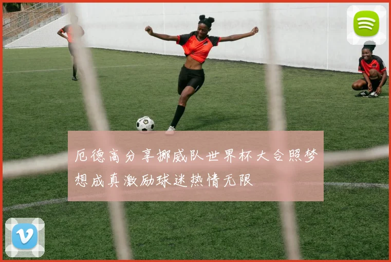 厄德高分享挪威队世界杯大合照梦想成真激励球迷热情无限