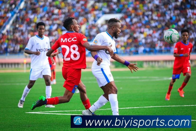 App Interface Preview