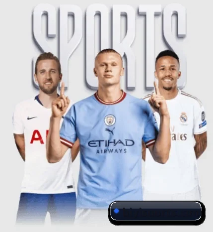 必一体育 APP（BSports）